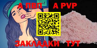 скорость Кингисепп